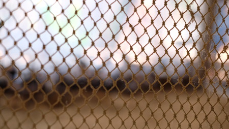 Nets on blurred background, mesh pattern backgroundの写真素材