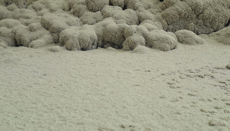 Soil and sand skin  taxture and taxture detail of surface is identity background