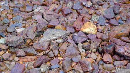 Old skin taxture on wall and taxture detail of surface is abstract backgroundの写真素材