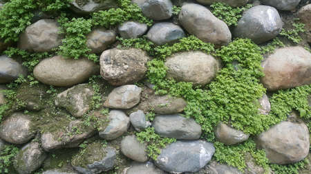 gray old metal sheet backgroundの写真素材