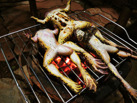 Three frogs are grilled on the grill.の写真素材