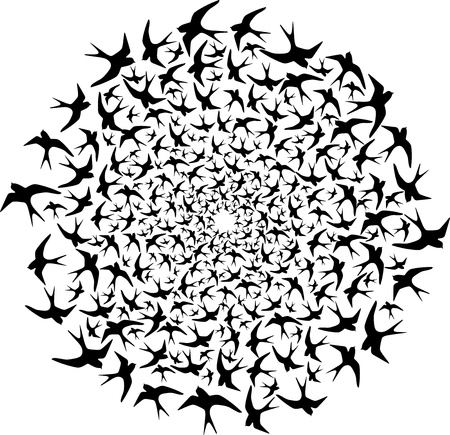 Flock of birds flying in circleのイラスト素材