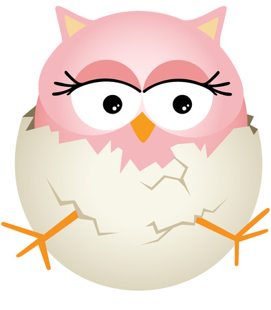 Pink Baby Owl in Eggのイラスト素材