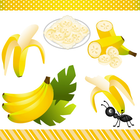 Banana Digital Clipartのイラスト素材