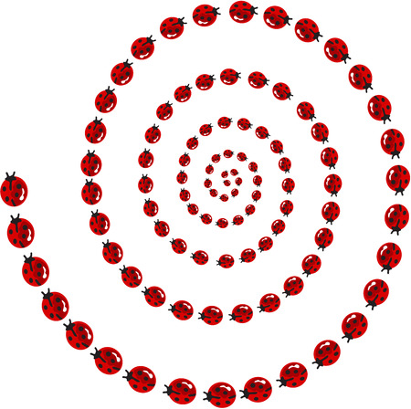 Ladybird spiralのイラスト素材