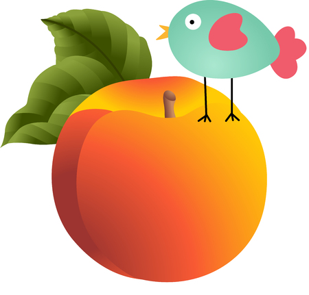 Bird on peachのイラスト素材