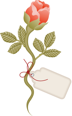 Rose with label tagのイラスト素材