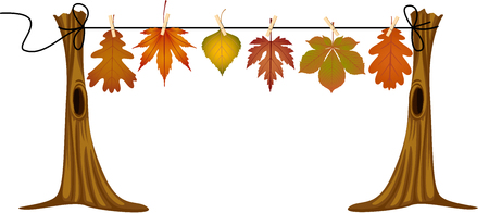 Autumn leaves hanging to dryのイラスト素材