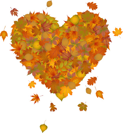 Heart made of autumn leavesのイラスト素材