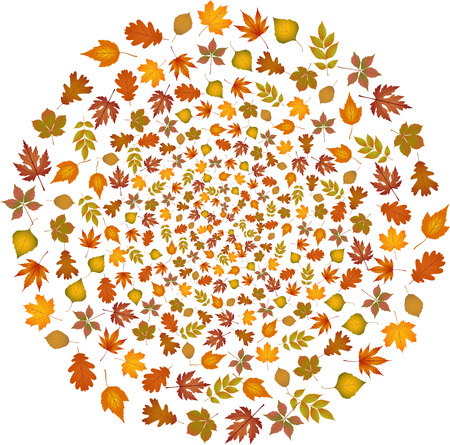 Set of autumn leaves flying in circleのイラスト素材