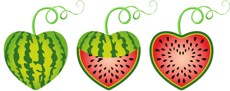 Watermelon heart shapedのイラスト素材
