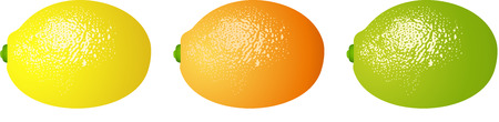 Fruit food citrusのイラスト素材