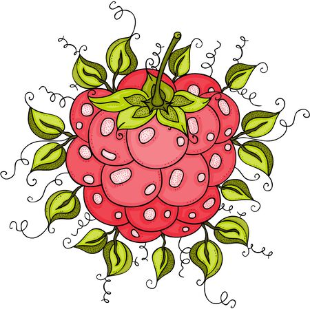 Red raspberry with green leavesのイラスト素材