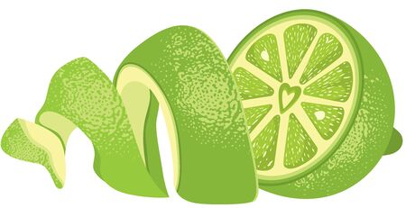 Fresh peeled green lemon halvesのイラスト素材