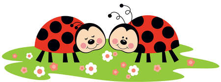 Couple of ladybirds in gardenのイラスト素材