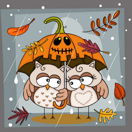 Funny illustration of the rain on Halloween with couple owls under pumpkin umbrellaのイラスト素材