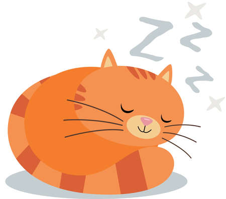Cute funny cat sleeping isolated on whiteのイラスト素材