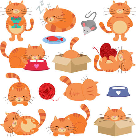 Fun package of cute cat with set digital elementsのイラスト素材