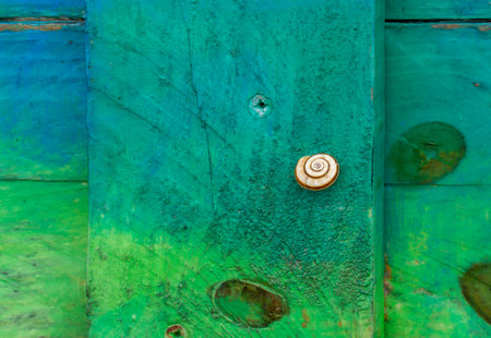 Small snail on colored wooden backgroundの写真素材