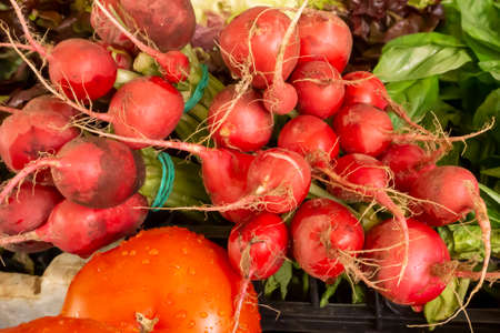 Stack of fresh red radishes in the marketplace for saleの写真素材