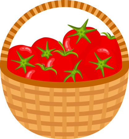 Wicker brown basket full of red tomatoesのイラスト素材