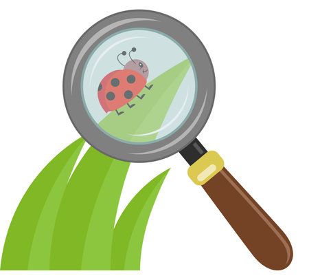 Magnifying glass increases the little ladybird on a green leafのイラスト素材