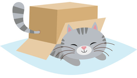 Cute cat under cardboard boxのイラスト素材