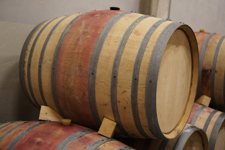Nice oak wine barrels in a winery