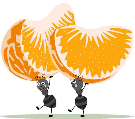 Two ants carrying a fresh segments of orangeのイラスト素材
