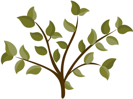 Branch tree with green leavesのイラスト素材