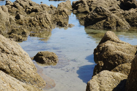 Rocky Coastline at Low Tide Pools