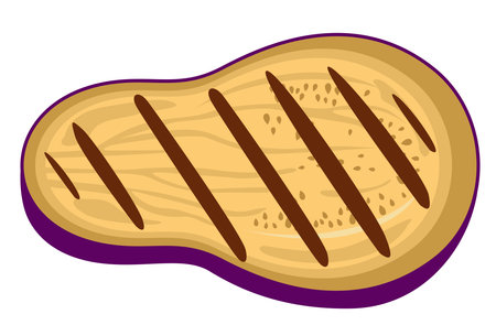 Illustration of grilled steak on a white background. Vector illustration.のイラスト素材