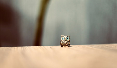 Owl on a wooden table. Shallow depth of field.の写真素材