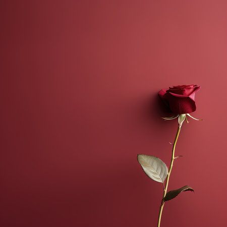 Red rose on a red background with space for text, flat layの素材
