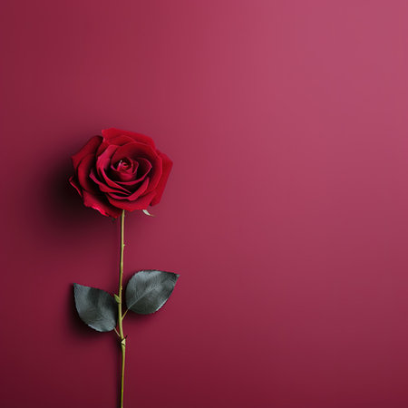 Red rose on a pink background. Flat lay, top view.の素材