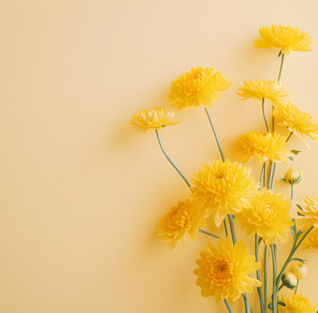 Flowers composition. Yellow chrysanthemum flowers on yellow background. Flat lay, top view, copy spaceの素材