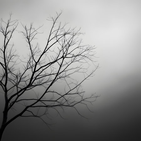 Silhouette of dead tree on foggy background, black and whiteの素材