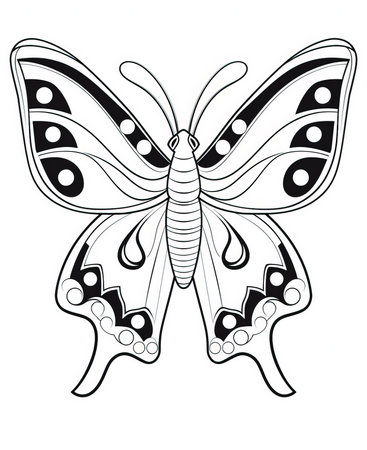 Illustration of a butterfly in black and white on a white backgroundの素材