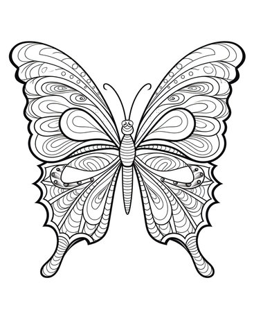 Butterfly coloring book page for adults. Black and white vector illustration.の素材