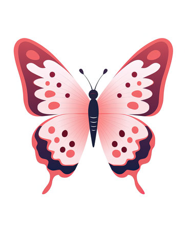 butterfly design, vector illustration graphic flat styleの素材