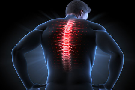 Male feeling pain in his back, 3D illustration showing highlighted spineの素材