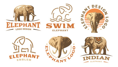 Colored set elephant logo illustration, emblem designのイラスト素材