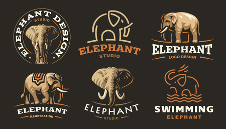 Set elephant logo - vector illustration, emblem design on dark background.のイラスト素材