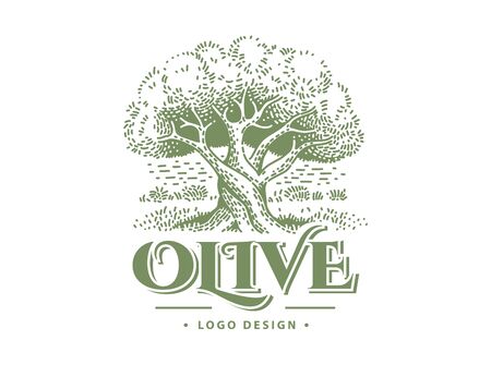 Olive label, emblem design Olive tree vector illustrationsのイラスト素材