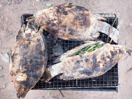 Grilled fish is grilled on the fireplace.の写真素材