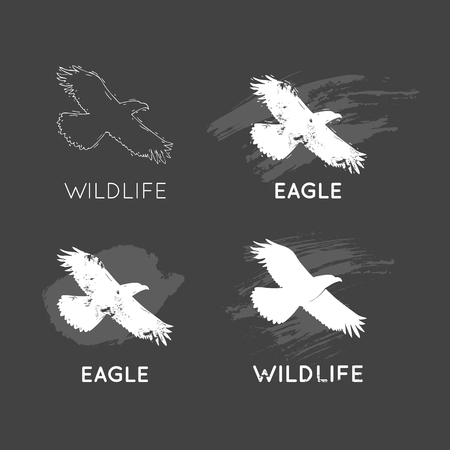 Eagle Silhouettes Wildlife hand draw. Hunting, travel, wild nature, survival. Retro, vintage.のイラスト素材