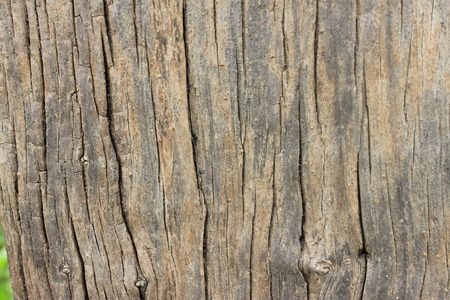 natural wood の写真素材