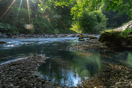 a puddle in summer still sunny day