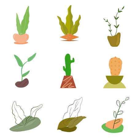 Aesthetic plants botanical foliage minimalist icon elements art graphic design abstract background decoration collection vector illustrationのイラスト素材