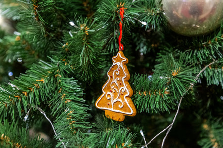 gingerbread snowman on the Christmas treeの写真素材